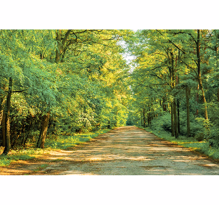 Mural de naturaleza sendero verde frondoso - TenVinilo