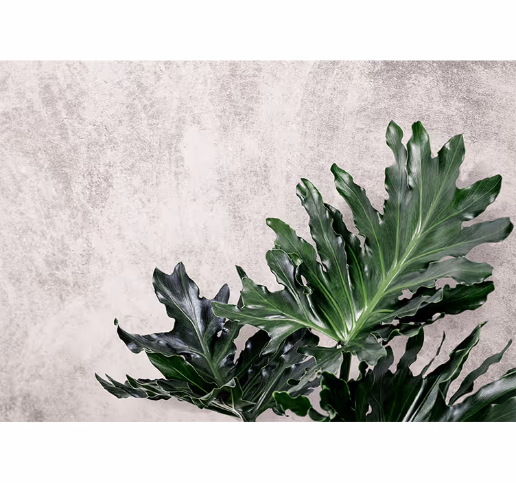 Mural de naturaleza hojas verdes lujuriosas - TenVinilo