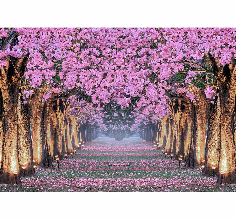 Mural de flores sendero de flores de cerezo - TenVinilo