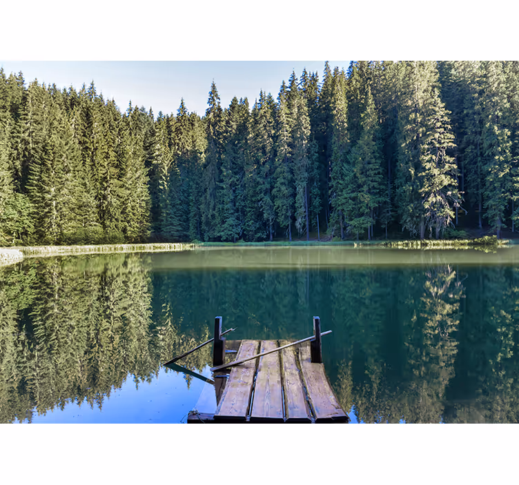 Fotomural de bosque Lago con árboles verdes detrás - TenVinilo