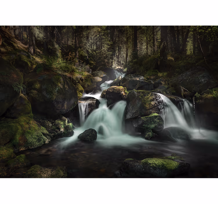 Mural de cascada arroyo tranquilo del bosque - TenVinilo