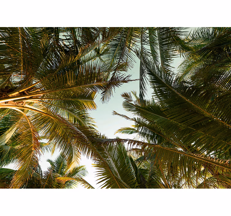 Mural de naturaleza dosel de palmeras tropicales - TenVinilo