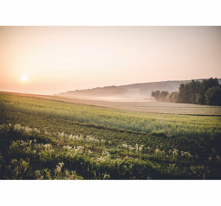Fotomural de montañas Puesta de sol en los campos verdes - TenVinilo