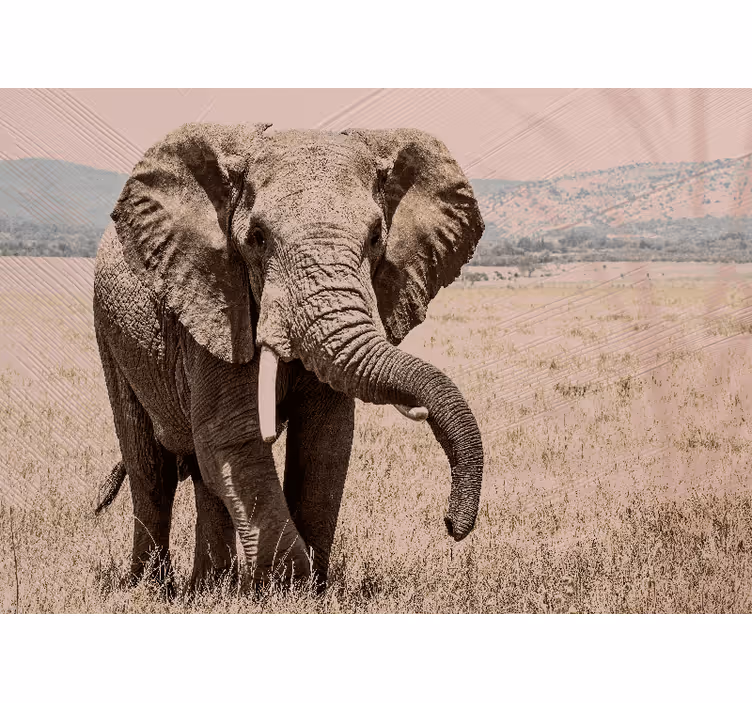 Fotomural africano Hermoso paisaje elefante - TenVinilo