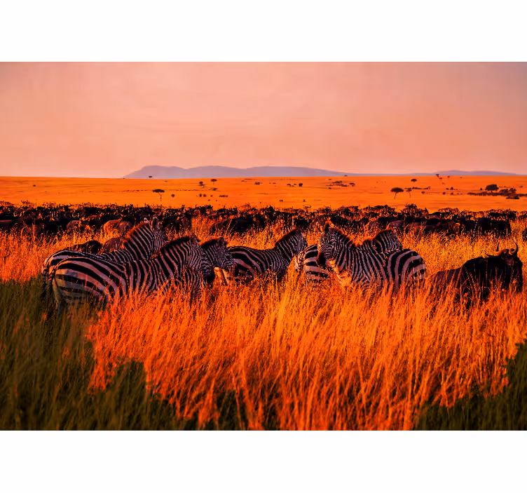 Mural de naturaleza cebras en el serengeti - TenVinilo
