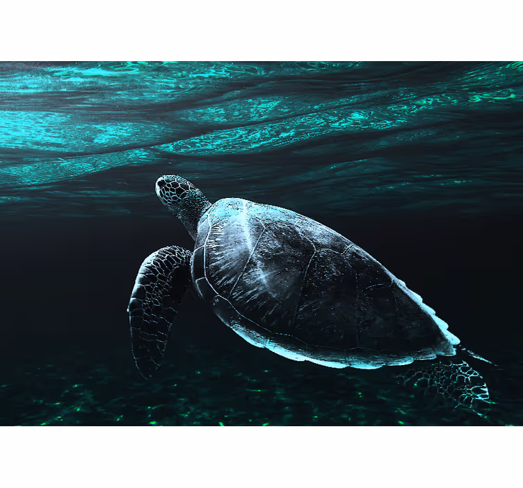 Mural de animales tortuga marina majestuosa - TenVinilo