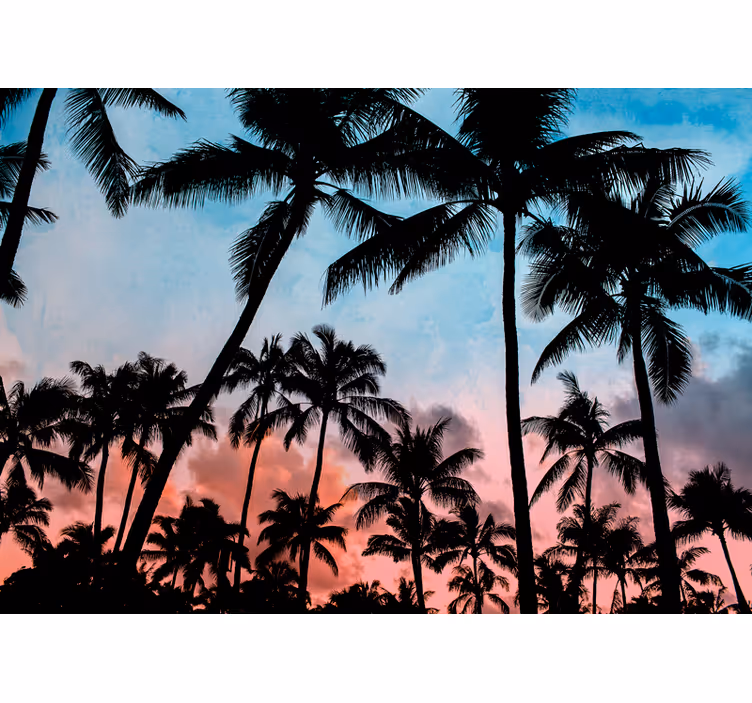 Mural de naturaleza sombras de palmera tropical - TenVinilo