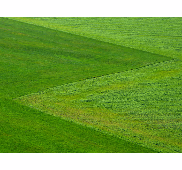 Mural de naturaleza campos verdes puros - TenVinilo