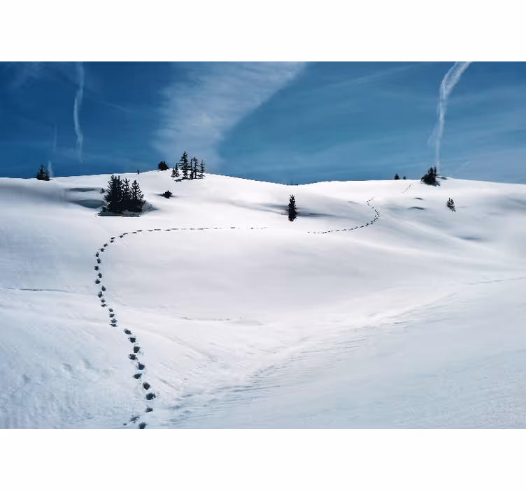 Mural de montañas camino de montaña nevado - TenVinilo