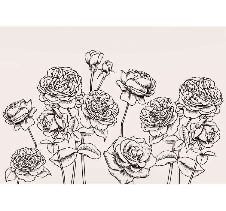 Fotomural flores Rosas dibujadas a mano en blanco y negro - TenVinilo