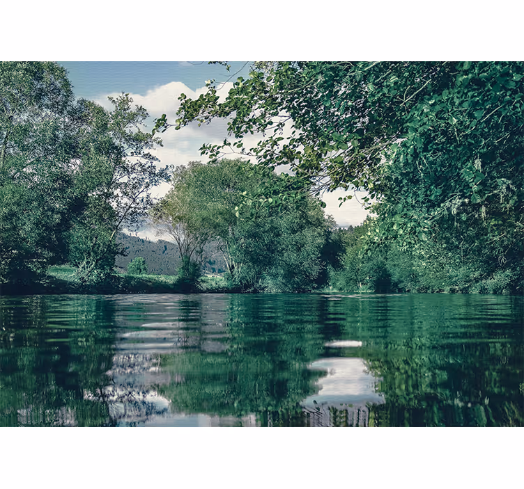 Fotomural de bosque Fotografía estética de ríos y bosques. - TenVinilo