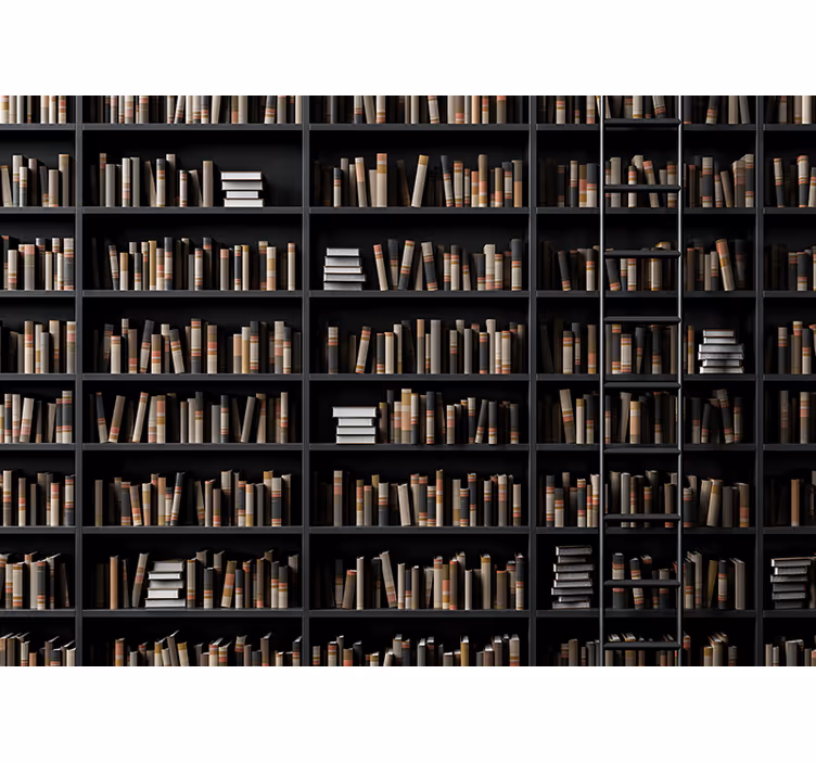 Mural efecto piedra colección de libros biblioteca - TenVinilo