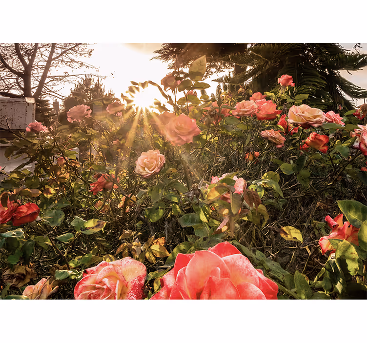 Mural de flores jardín de rosas iluminado - TenVinilo