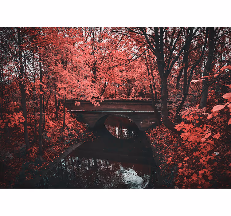 Mural de naturaleza bosque de hojas rojas - TenVinilo