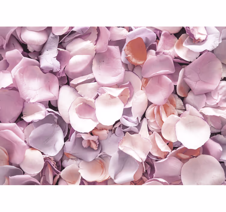 Mural de flores detalle de pétalos de rosa - TenVinilo
