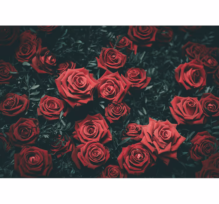 Mural de flores rosas rojas románticas - TenVinilo