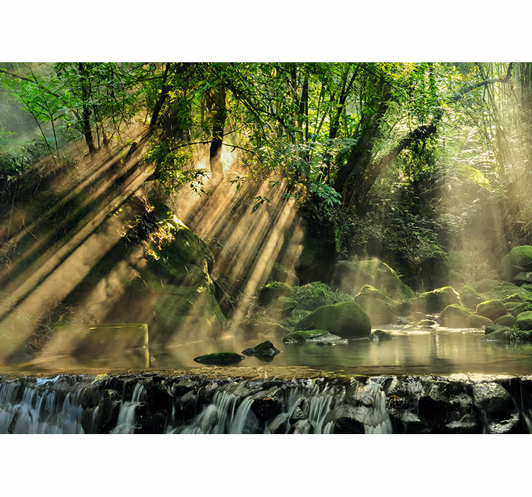 Mural de naturaleza arroyo forestal iluminado por el sol - TenVinilo