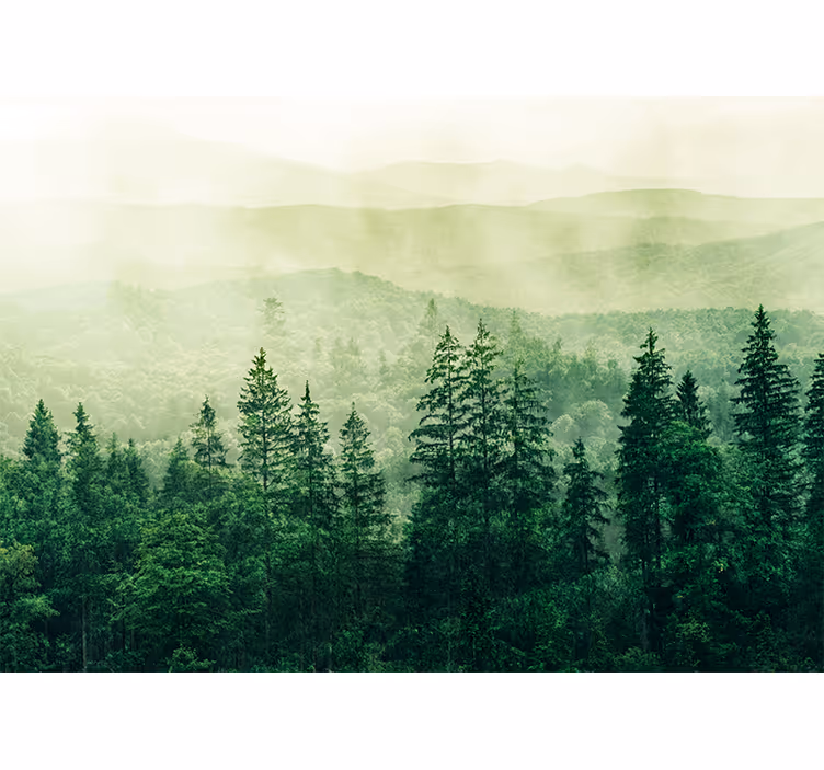 Mural de naturaleza paisaje verde nebuloso - TenVinilo
