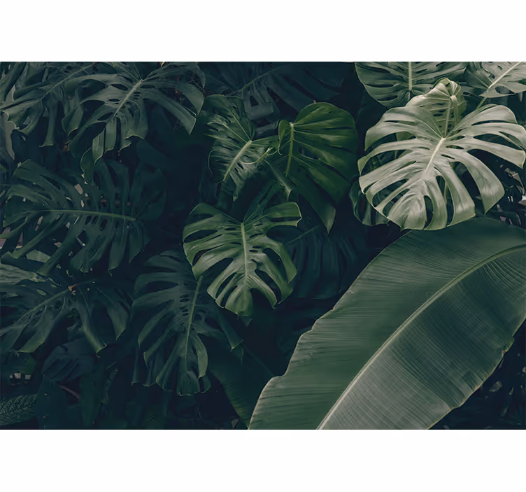 Mural de naturaleza verdor tropical vibrante - TenVinilo