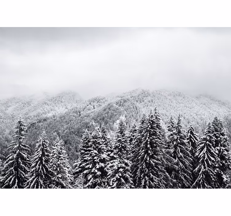 Mural de naturaleza paisaje de bosque invernal - TenVinilo