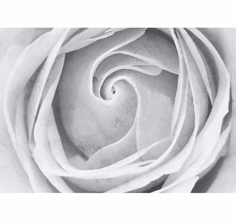 Mural de flores espiral de rosas elegantes - TenVinilo