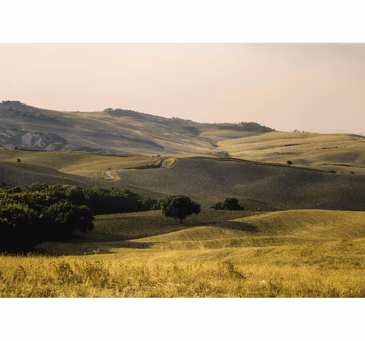 Fotomural naturaleza Campos de toscana paisaje - TenVinilo