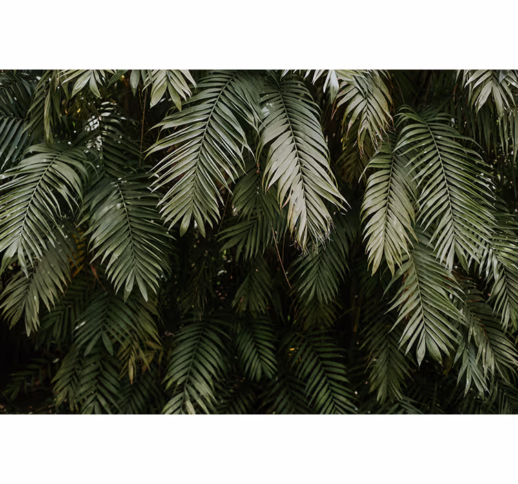 Mural de naturaleza follaje tropical - TenVinilo