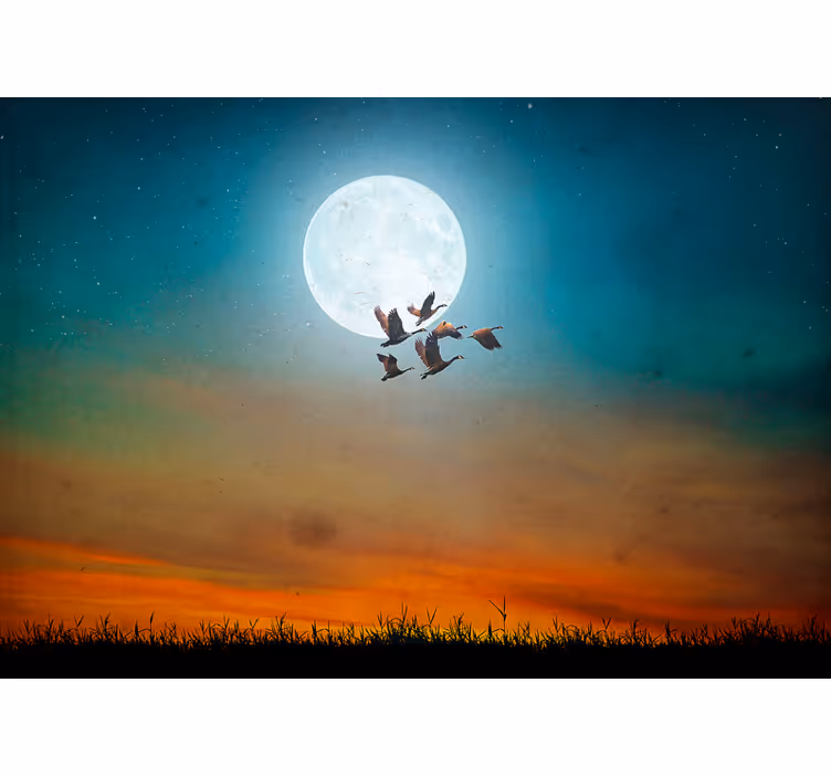 Mural de naturaleza cielo nocturno con aves - TenVinilo