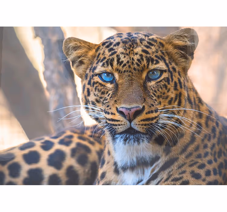 Mural de animales retrato de leopardo ampliado - TenVinilo