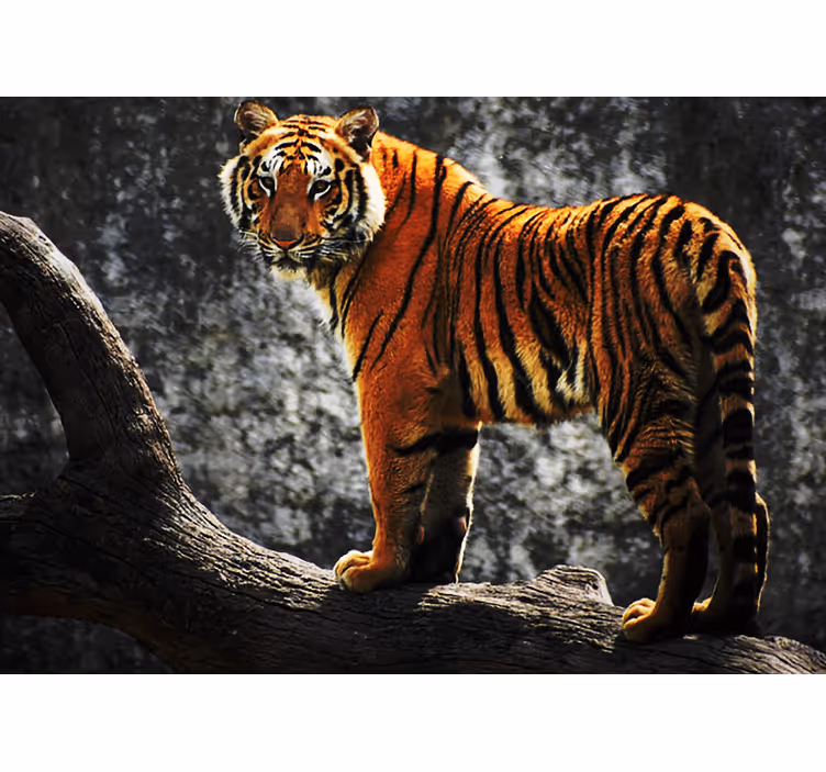 Mural de animales tigre en postura regia - TenVinilo