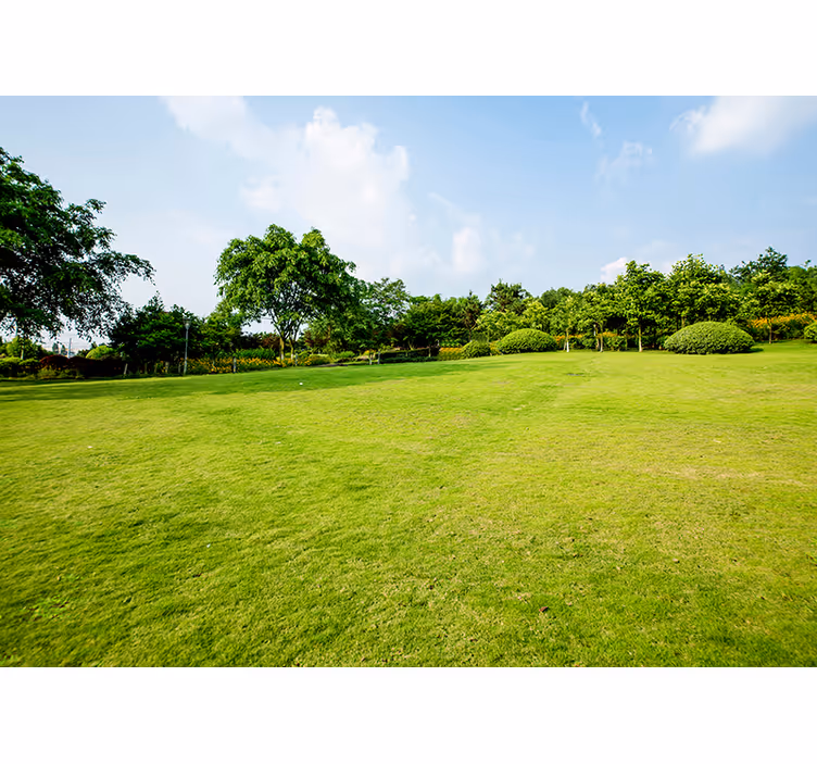 Mural de naturaleza panorama de pradera verde - TenVinilo