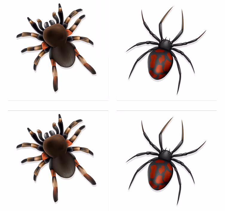 Posavasos halloween colección araña espeluznante - TenVinilo