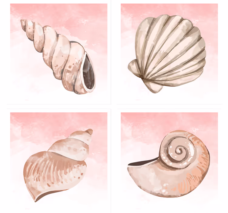 Posavasos moderno conchas marinas y toque rosa - TenVinilo
