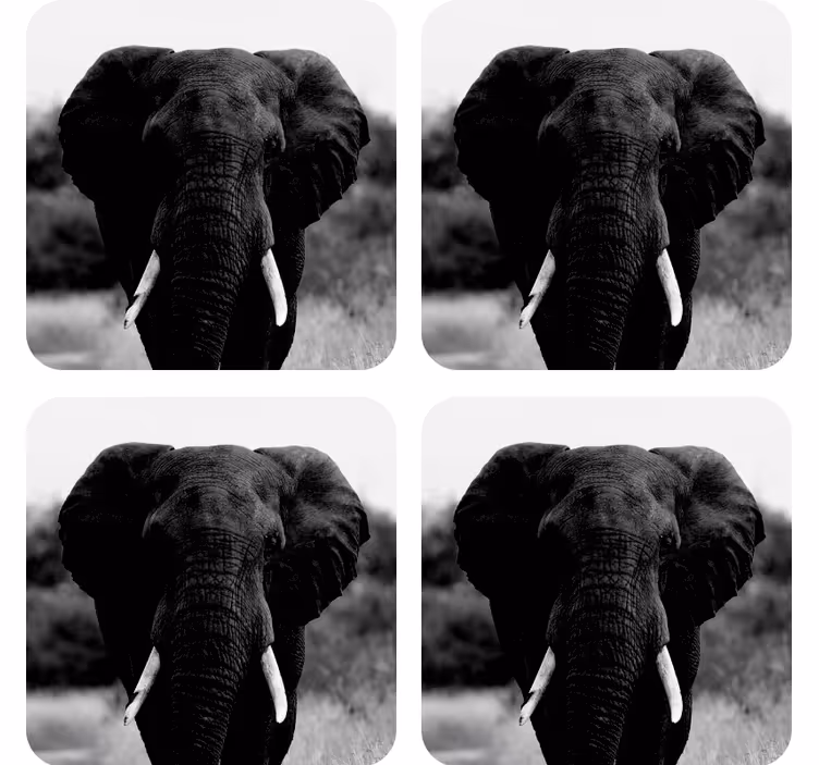 Posavasos moderno B & w cabeza de elefante - TenVinilo