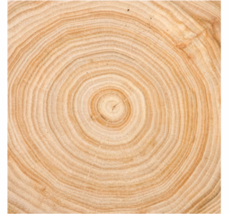 Posavasos círculo de vetado de madera - TenVinilo