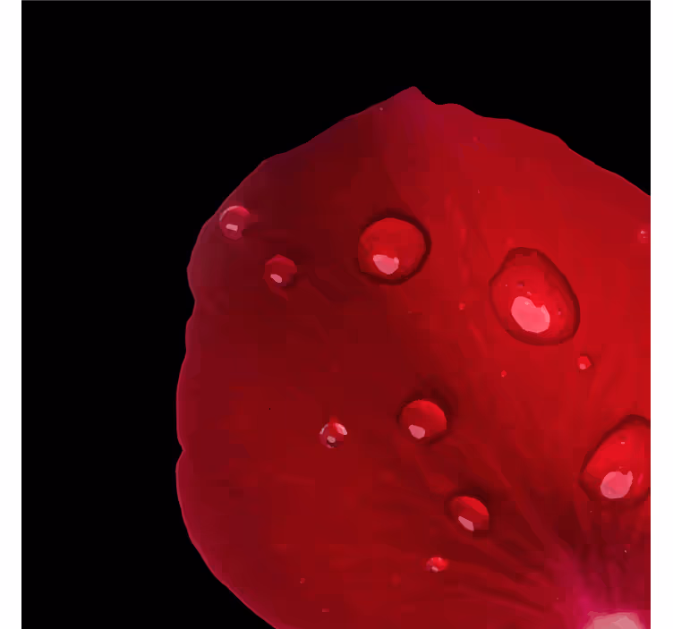 Posavasos pétalo de rosa humedo - TenVinilo