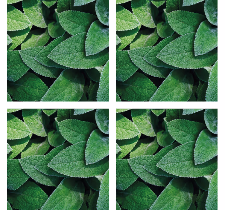 Posavasos motivo de hoja verde vibrante - TenVinilo