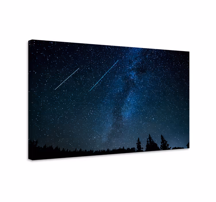 Cuadro azul paisaje de estrellas fugaces hermosas - TenVinilo