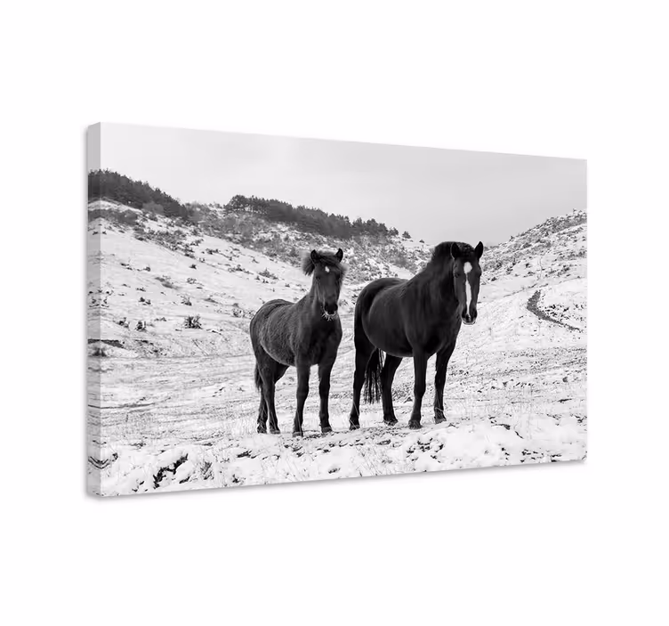 Cuadro caballos caballos en la nieve - TenVinilo