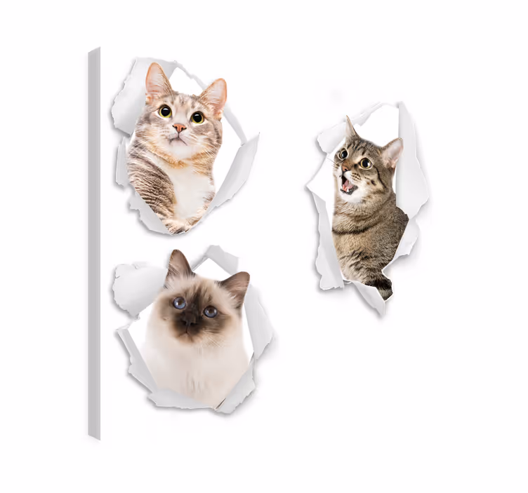 Cuadro de gatos efecto 3d - TenVinilo