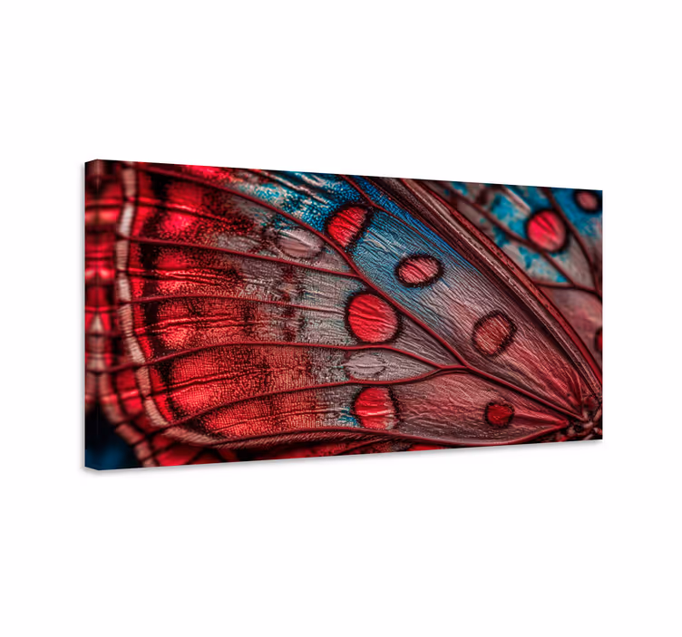 Cuadro mariposas ala de mariposa - TenVinilo