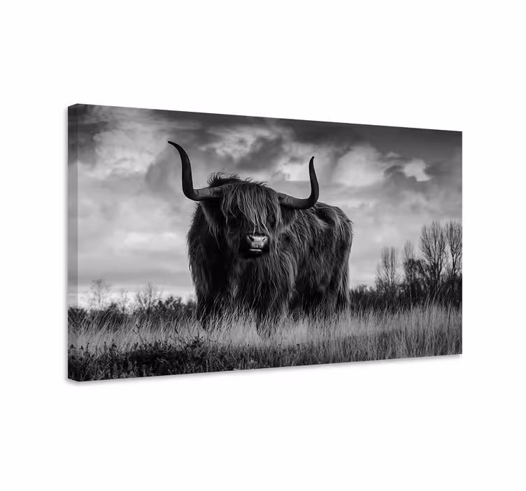 Cuadro de animales bisonte blanco y negro - TenVinilo