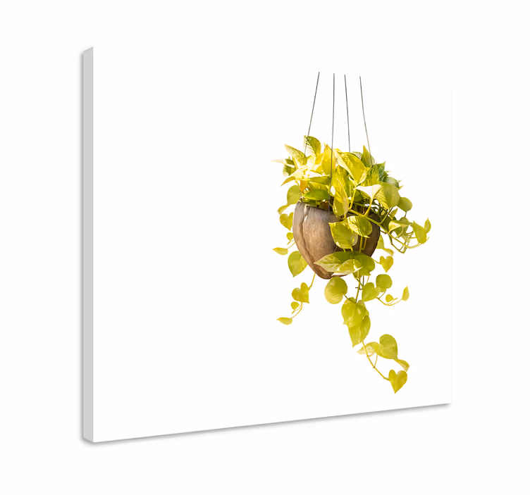 Cuadro de flores arreglo de vegetación colgante - TenVinilo