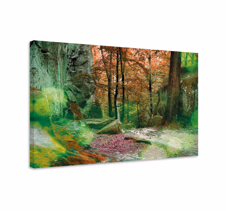 Cuadro paisajes escena del sendero del bosque - TenVinilo