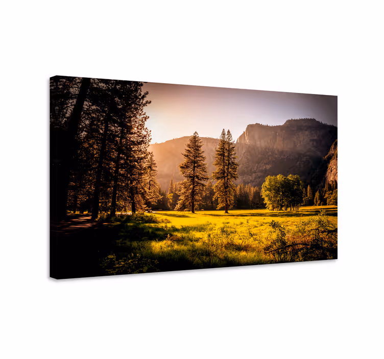 Cuadro paisajes bosque bañado por el sol - TenVinilo