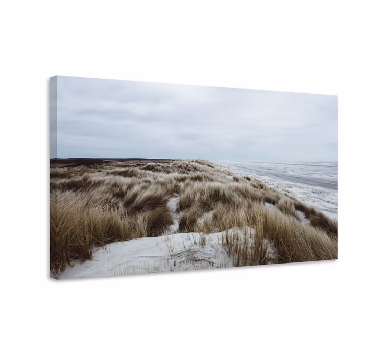 Cuadro paisajes vista de dunas costera - TenVinilo