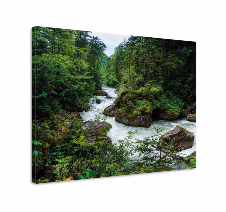 Cuadro paisajes paisaje de río sereno - TenVinilo