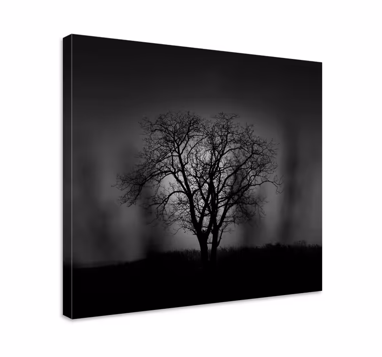 Cuadro de árboles silueta de árbol - TenVinilo