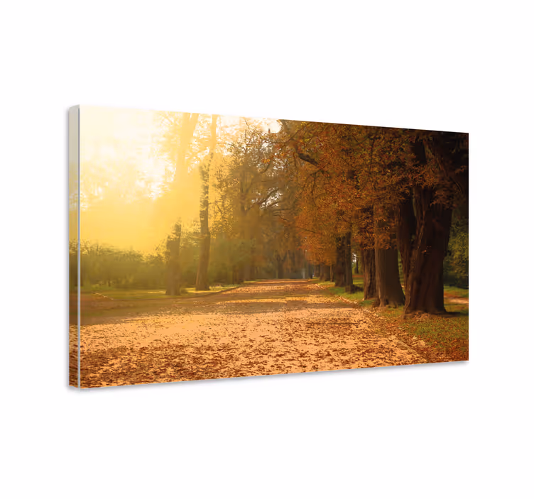 Cuadro paisajes sendero otoñal - TenVinilo