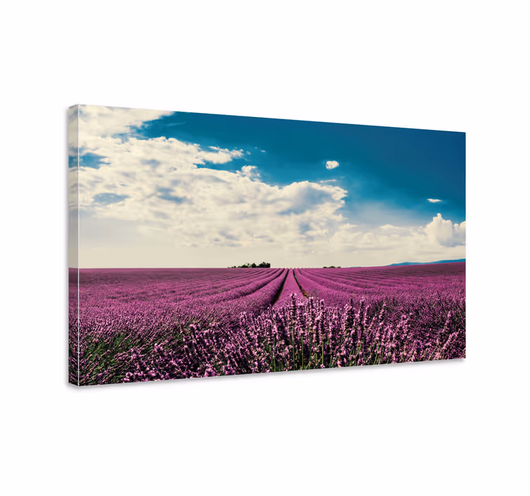 Cuadro de flores Sol de brezo - TenVinilo